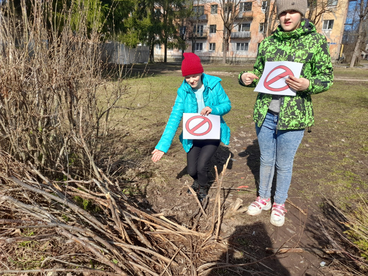 Экологический фотокросс "Внимание! Требуется защита!".